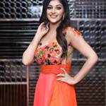 malaysia companion Profile Picture