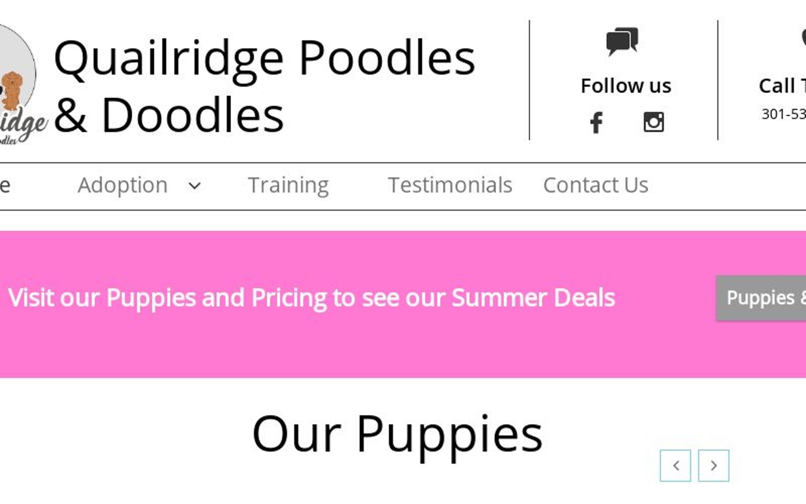 Breeder of Poodles Doodles Goldendoodles Bernedoodles Golden Mountain Doodles Maryland LaPlata MD