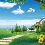 jtpofshrinkfilm jtpofshrinkfilm Profile Picture