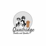 quailridgepoodlesanddoodles Profile Picture