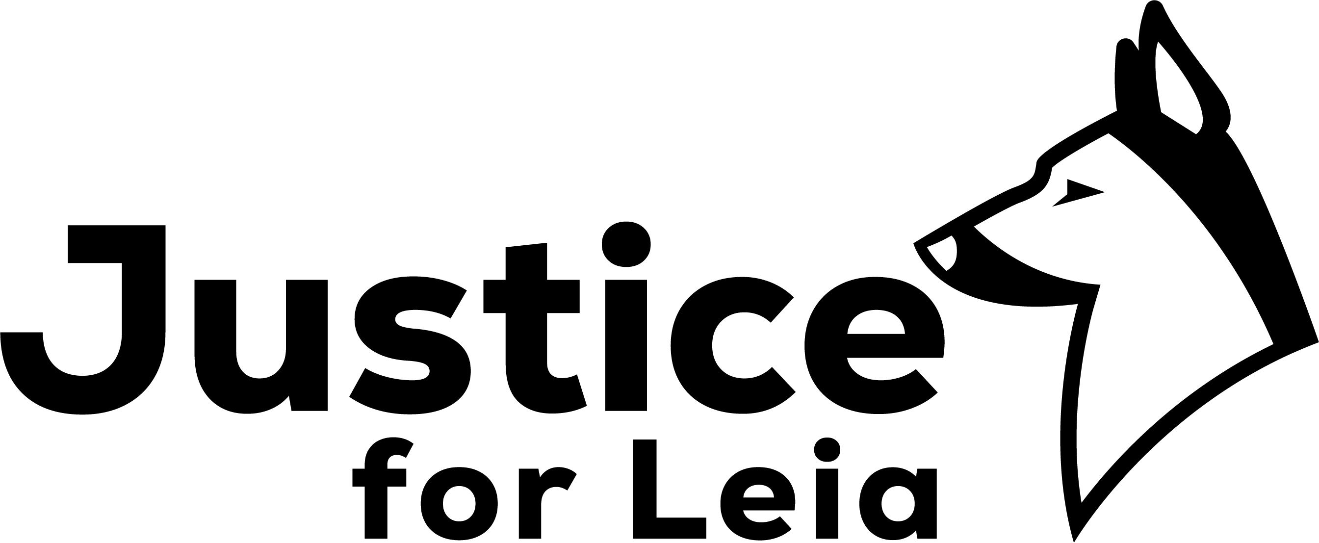 Safe Ways to Introduce Your Dog to New Environments