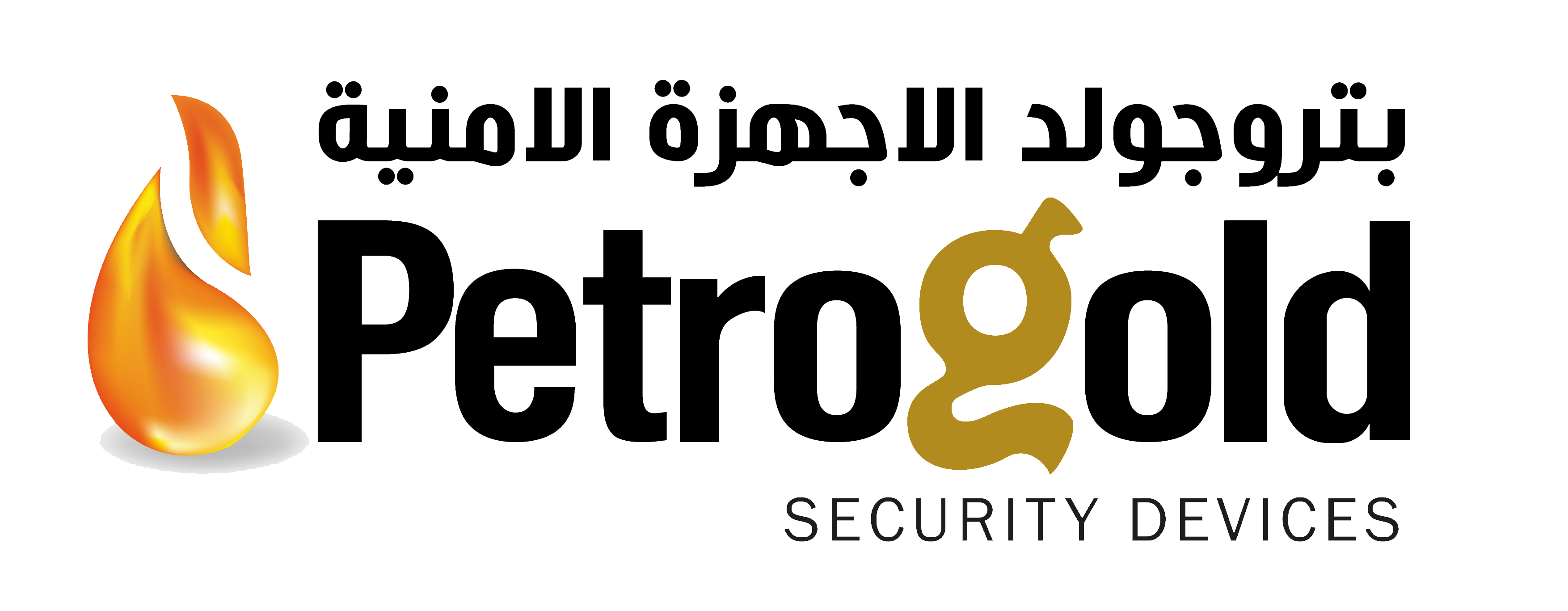 Services | Security and Surveillance Systems | Petrogold