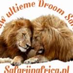 Safari in Africa Profile Picture