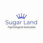 Sugar Land Psychological Associates San Antonio Office Profile Picture