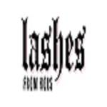 lashes from hols Profile Picture