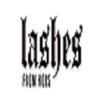 lashes from hols Profile Picture