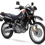 James pier Profile Picture