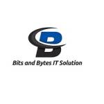 Bits and Bytes IT Solution Profile Picture