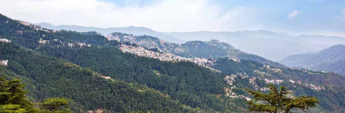 Royal Rover Holiday Cover Image