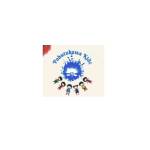 pohutukawa kidz Profile Picture