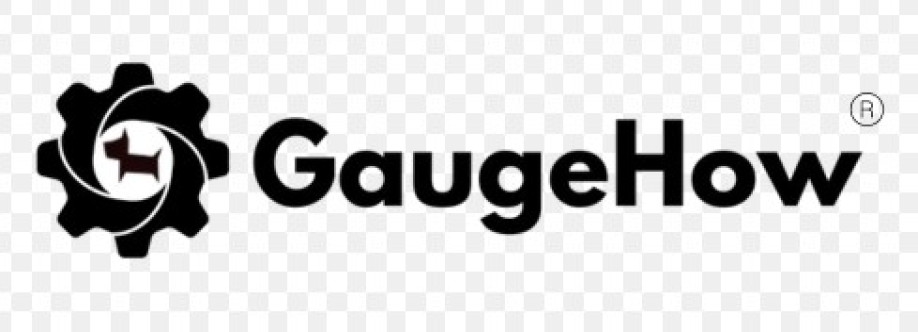 Gauge How Cover Image