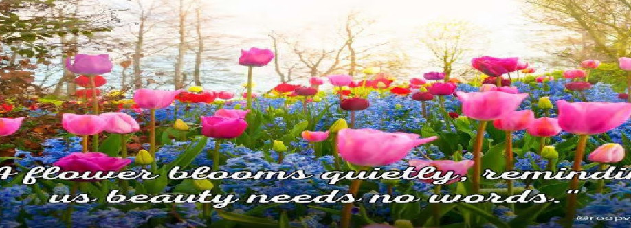 RoopVibes Cover Image