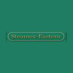 Steamex Eastern of Toledo Profile Picture