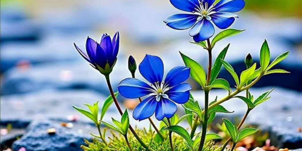 There is no a single-dimension-suits-all technique toward Steelers initial-spherical choices