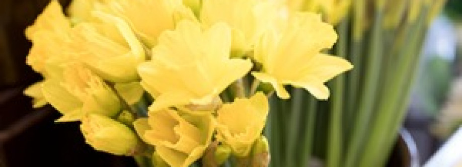 Chemstar Corporation Cover Image