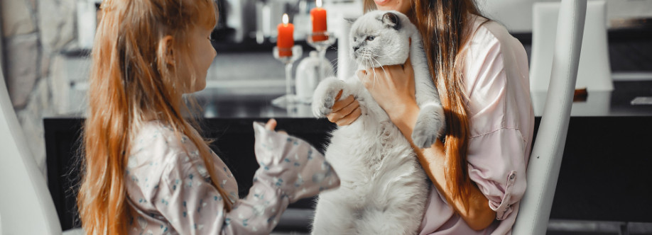 thegroomer Cover Image