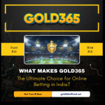 gold 365 Profile Picture