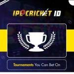 online ipl betting Profile Picture