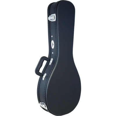 Viking VMC-10A Mandolin Case. A Style Profile Picture