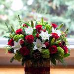 Black Petals Profile Picture