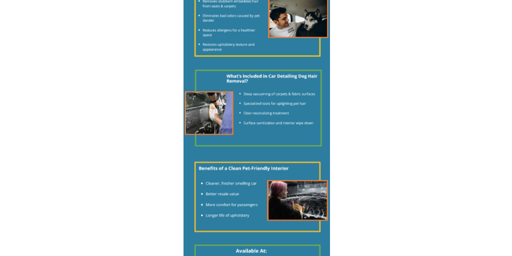 Untitled infographic by XLNC Auto Beauty - Infogram