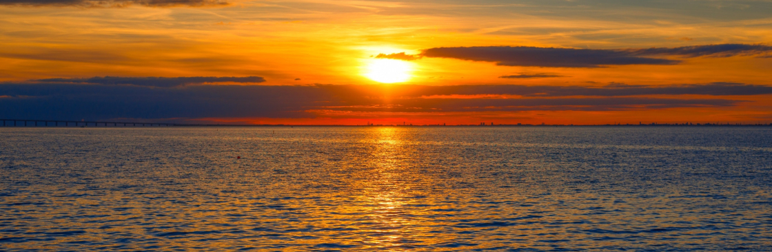 Emma Watkinn Cover Image