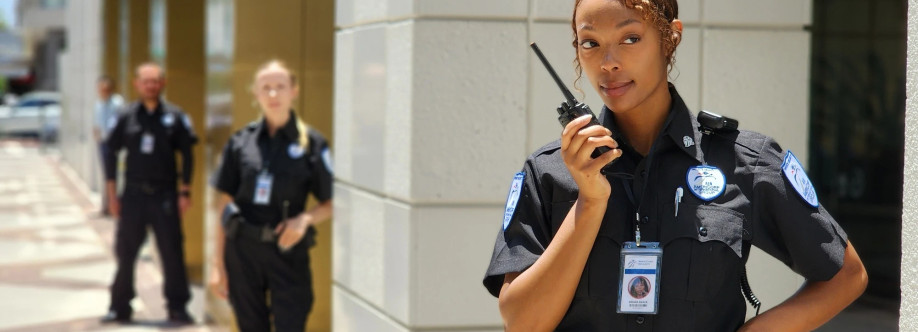 AIG Security Cover Image