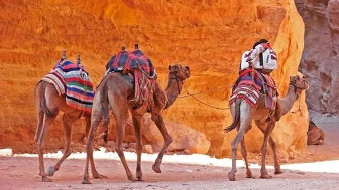 Petra más allá de lo imprescindible: explorando el sitio con intención