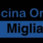 Ortho Tecnica Profile Picture