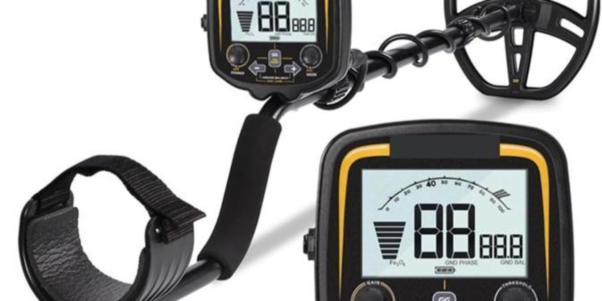 Master the Art of Treasure Hunting with Metal Detector and Gold Detector