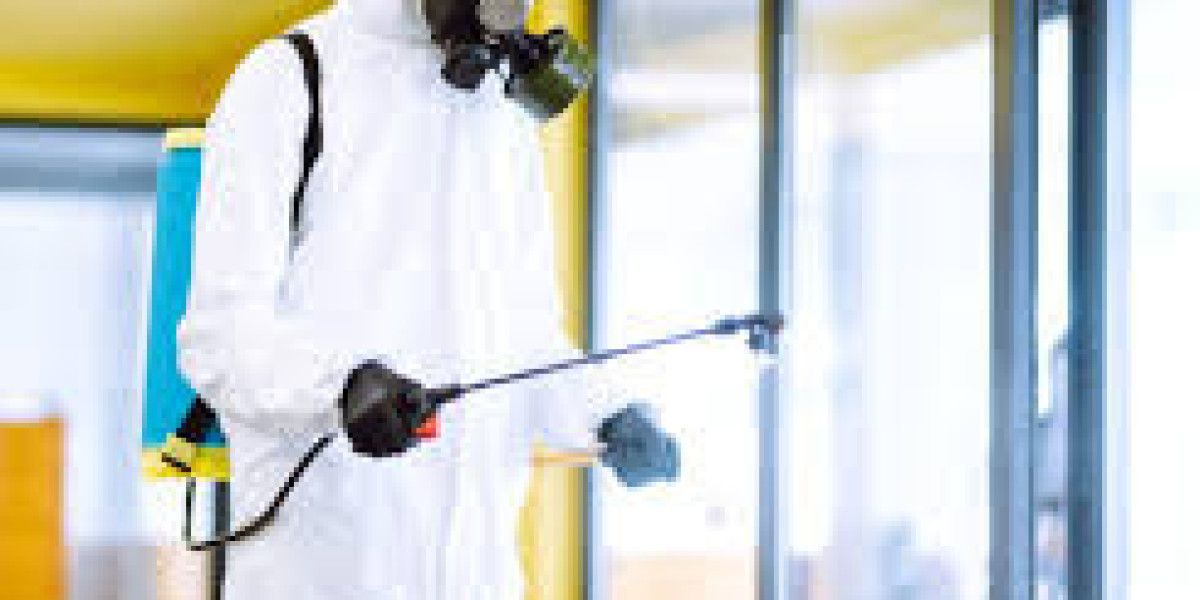 Complete Guide to Termite Control in Lahore for Property Safety