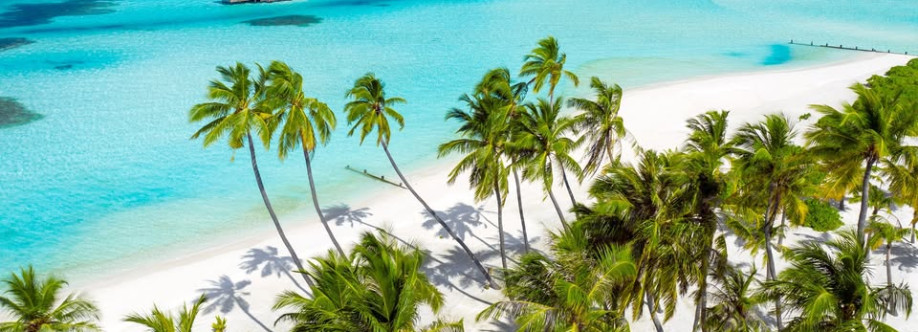 Sue Kang Cover Image