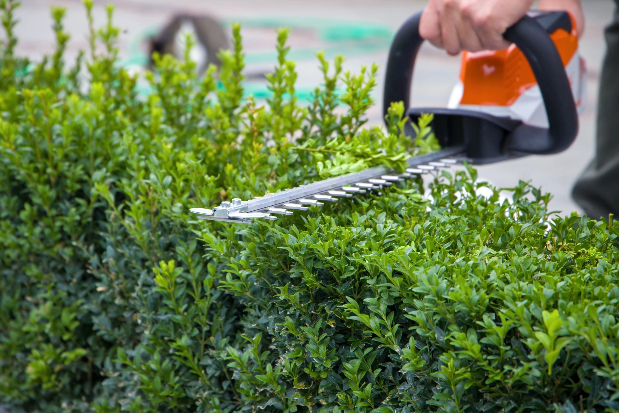 Lawn Service & Landscaping Winter Haven | Polk Lawn