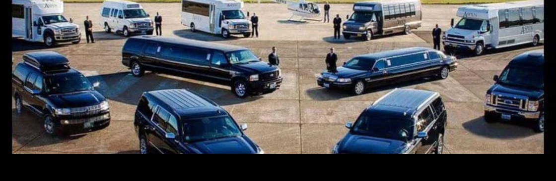 Royal Limos Co Cover Image