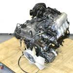 amelia broz profile picture