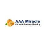 AAA Miracle Profile Picture