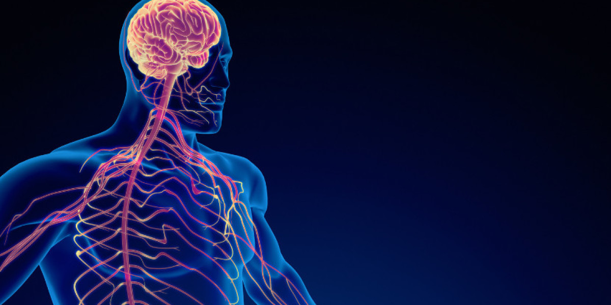 Central Nervous System Treatment Market Size & Forecast 2035