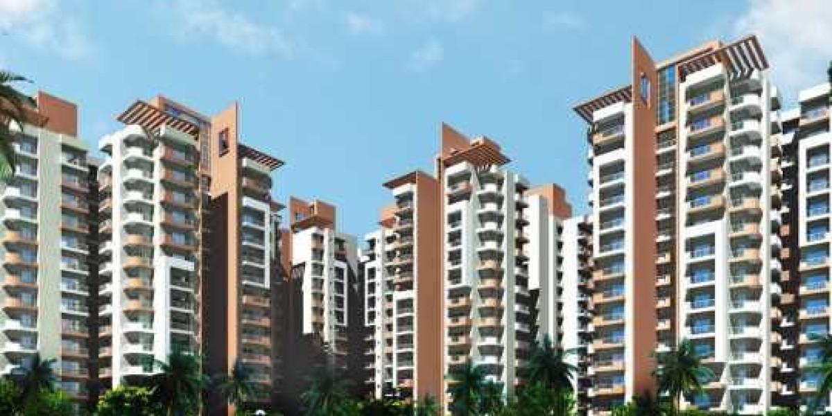 Awfish Sector 125 Noida: A Modern Hub for Work, Food, and Socialization