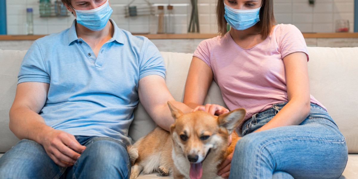 NexGard Without Vet Prescription