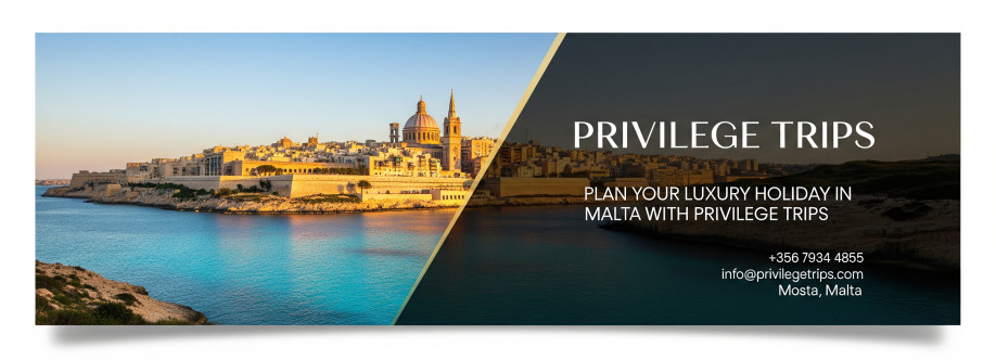 Privilege Trips Cover Image