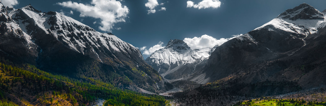 Goldseal Shilajit Cover Image