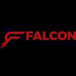Falcon Ghostwriting Profile Picture