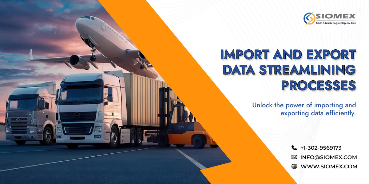 Import Export Data Made Simple for New Traders