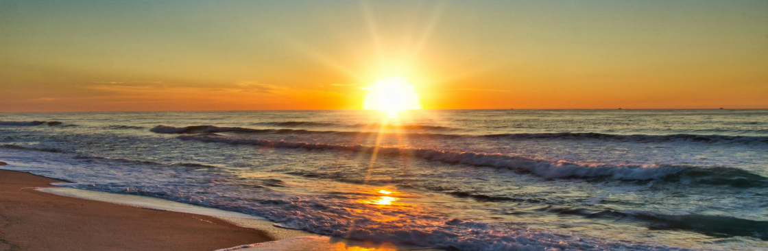 Ruth Jbell Cover Image