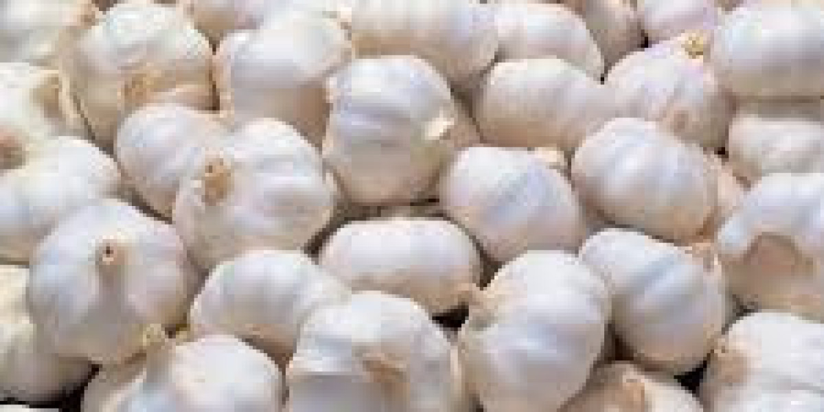 Latest Updates on Garlic Prices and Market Trends Today