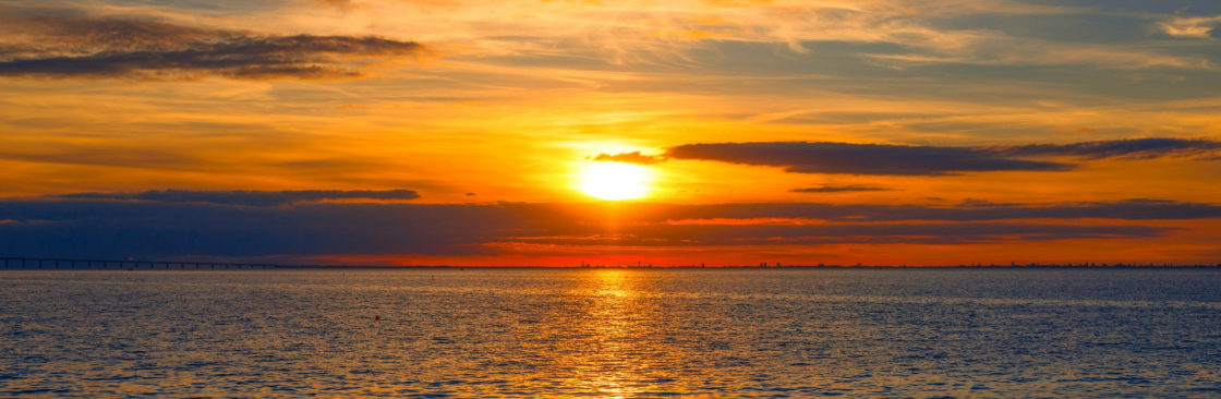 Holly Fisk Cover Image