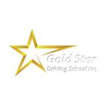 Gold Star Driving School Profile Picture
