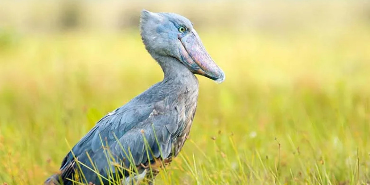Lake Nakuru National Park