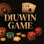 Diuwingame586 Profile Picture