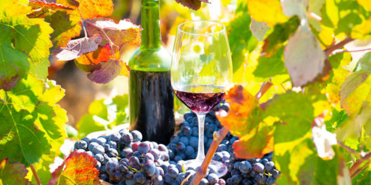 Premiumization Trends Reshaping the Organic Wine Landscape
